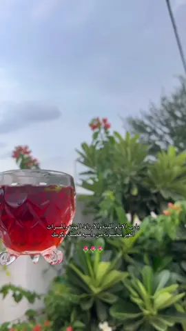 يارب 🤲🏻🌷#خواطر #عبارات #كلمات #درر #اجواء_الشتاء 