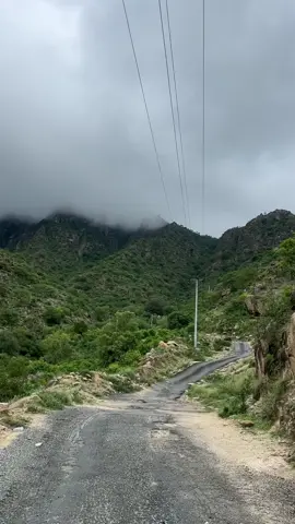 #مشاهير_تيك_توك #مشاهير 