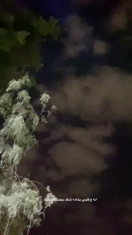 اوف اوف 🙇🏻‍♂️ .  #اكسبلورexplore #محمدعبدالجبار #بغداد #fyp #like 