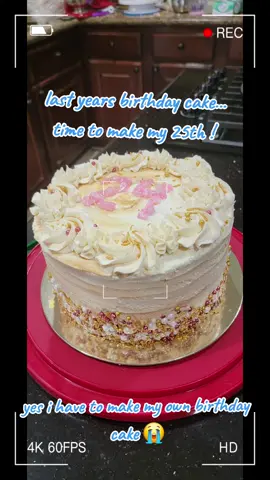Happy 25th Birthday to me!  (on the 28th) With my milk allergy I have to make my cake every year 🥲 #cakedecorating #birthday #birthdaygirl #cake #vegan 