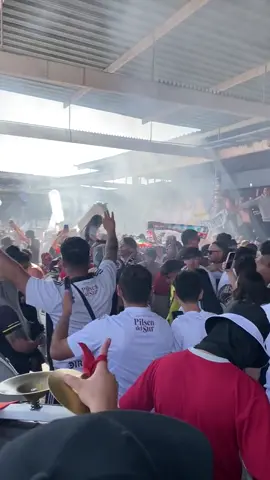 #ColoColo #VamosColoColo #GarraBlanca #EternoCampeon #FutbolChileno 