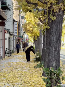 Người yêu ơi em có … còn yêu anh nữa không?#osaka #langson #icho 