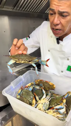 🦞 préparation du  la Mariscada (plat de fruits de mer) 🦪  ☎️ Livraison et réservation 0558359581 📍Garidi 1 #food #mariscada #cuisinealgerienne #algeria #viral 