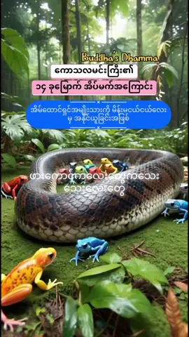 ကောသလမင်းကြီးအိပ်မက် ( ၁၄ )ခုမြောက်  အိပ်မက်အကြောင်း Buddha's Dhamma