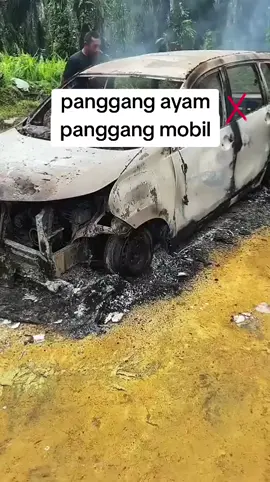 #idtrendingtiktok #petanisawit🌴 #pyppppppppppppppppppp #ninjasawit 