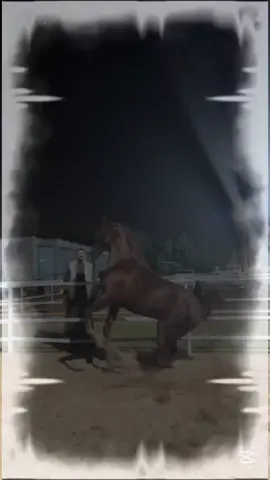 #✌🦅🦁🦅✌🦅🦁🦅 # #desirajputanaswag # #growmyaccount #نارووال #