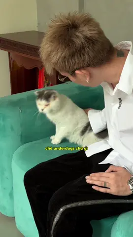 🐶 đầu đàn bị hắt hủi #BRay #AnhTraiSayHi2025 #NhaCuaBao 