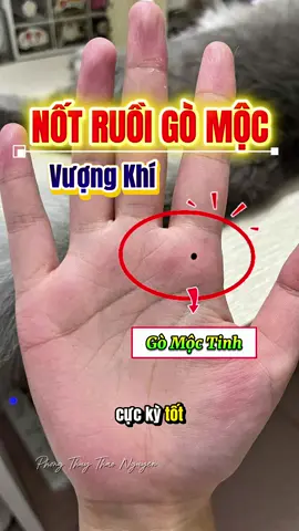 Nốt ruồi mộc gò Mộc Tinh. Nốt rất quý. Không tẩy các bạn nhé. #giaimachitay #0974569545xemchitay #trungnhantuong37 #phongthuythaonguyen 