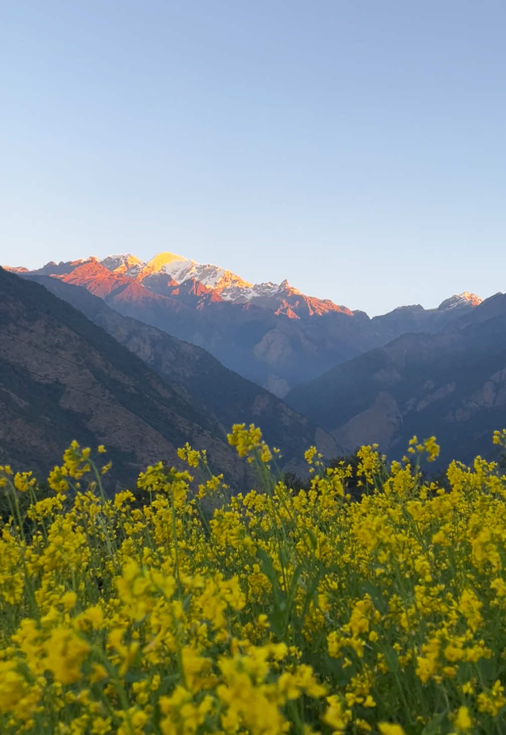 Barpak,Gorkha🇳🇵 #gorkha #barpaksulikot #visitgorkha #barpak #peace 