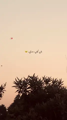 ماں۔❤️🫂🫶🏻😭@𝙈𝘼-♛ #foryou #foryoupage #poetry #poetrystatus #unfreezmyaccout 