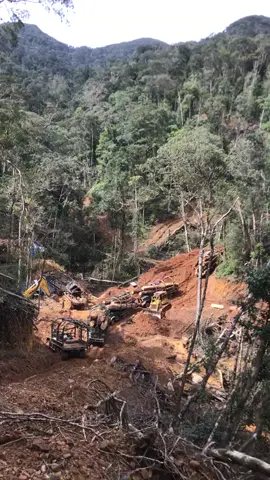 Chính thức bò hàng về #trending #xuhuong #dulich #lào🇱🇦 