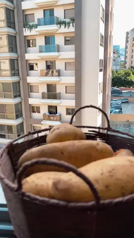 #تصميم_فيديوهات🎶🎤🎬 #الشعب_الصيني_ماله_حل😂😂 #طبخ #تصوير #مسقعة 