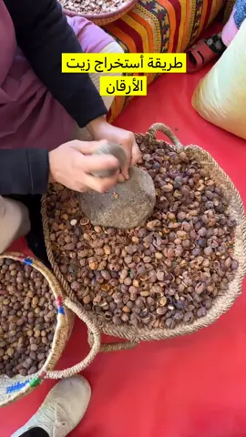 #المغرب🇲🇦 