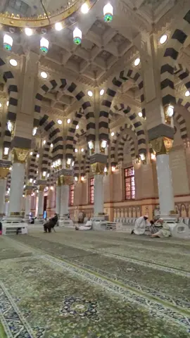 #المدينه_المنوره #نبينا_محمد_صلى_الله_عليه_وسلم #قران_كريم #الحرم #رسول_الله 