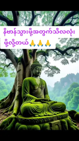#ပါချုပ်ဆရာတော်ဘုရာကြီး🙏🙏🙏 #တရားတော်များ #foryou #myanmartiktok #fy @zin  ko @zin  ko @zin  ko 