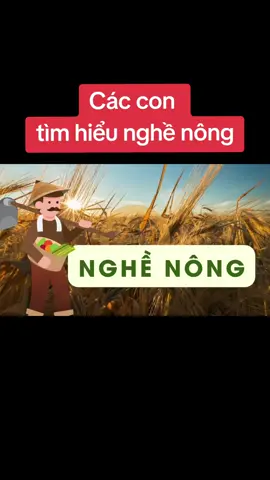 Các cô làm bài thao giảng gì vậy ạ? Chia sẻ với nhau đi ạ. #giaovienmamnon #giaovientieuhoc #xuhuong #congnghe #canva 