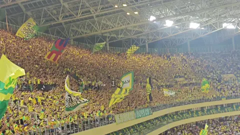 #jskabylie💛💚 #kabylie #anwawigidimazighen✌🔰 #imazighen♓♓❤️❤️ 