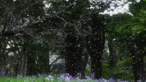 Khi tình yêu bạn trao đi được đáp lại, hơi ấm bạn mong mỏi được đón nhận như mong đợi, thì tình cảm hai chiều này chính là hạnh phúc vững chắc nhất trên thế gian.