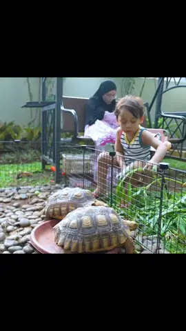 Nonton fulll nya di YouTube Leslar entertainment ya guys 🤗🥰#muhammadlevianalfatihbillar #lesti_kejora #mrizkybillar 