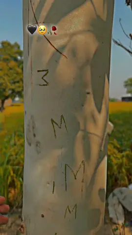 Hayyy——-Mari jani g —-M#fypageシ♡fypageシ♡🦋fytiktoksabahan💙🤍 #viral?videotiktok😇😇unfreezmyacount🙏f #unfrezzmyaccount🙏🙏🙏🥺plz_saportsaport #viral?videotiktok😇😇unfreezmyacount #onemillionaudition 