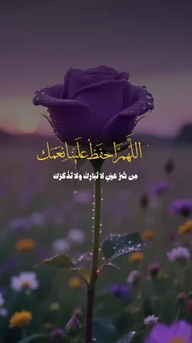 #مساء_الخير اللَّهُمَّ احفَظْ علَيْنا نِعَمَك ‏ مِن شَرِّ عَيْنٍ لا تُبَارِكُ ولا تَذْكُرُك