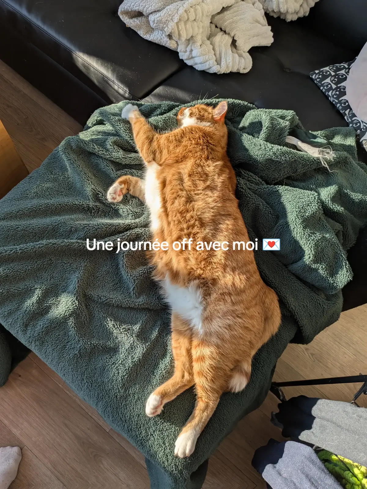 #slowliving #cozyvibe #daylivlog #slowlife #fyp 