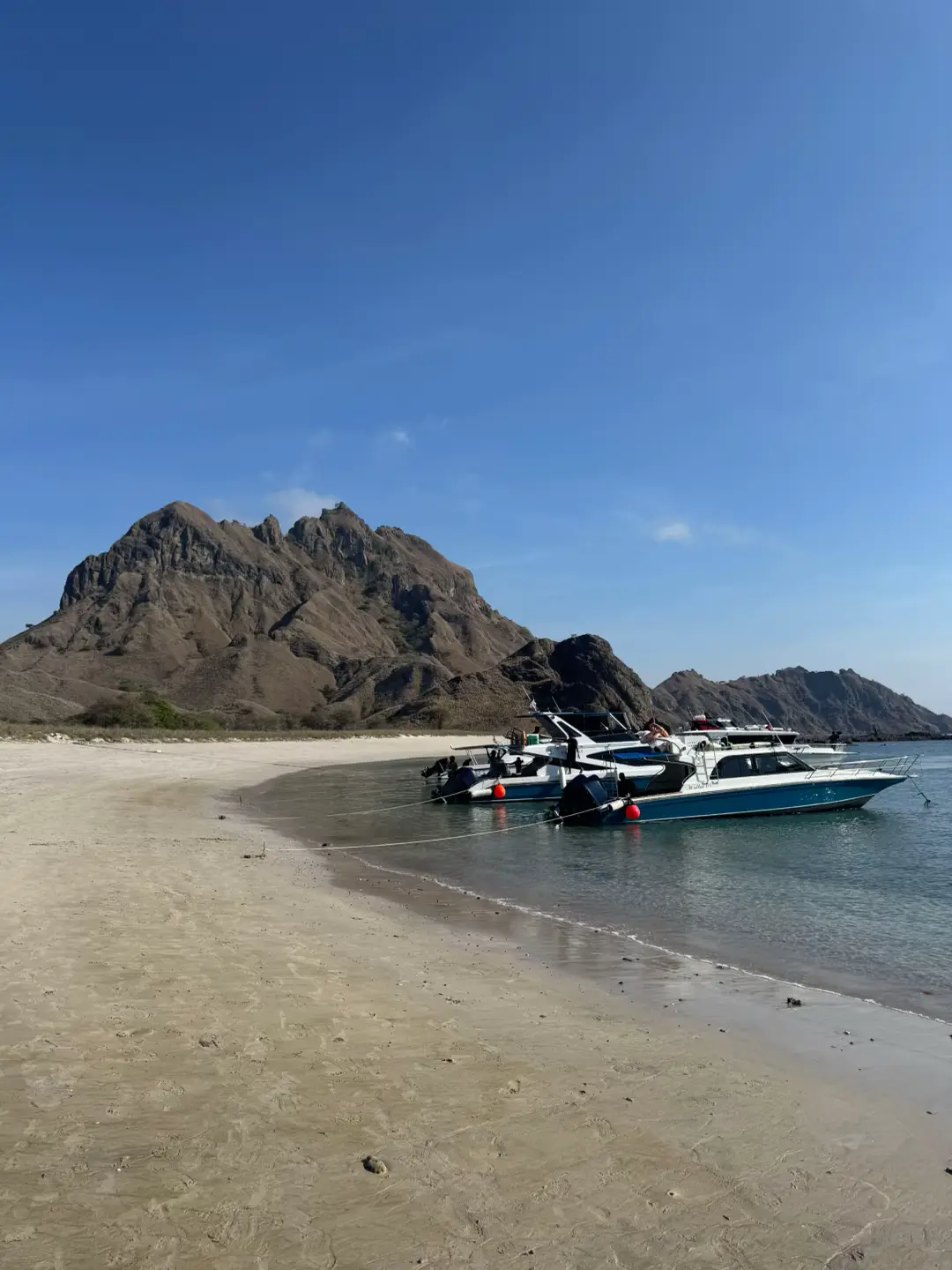 sejuk amat pulau padar😅