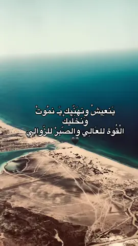 #تومي #لوحيشي_مفرق_عفاريت❤🔥 #طرابلس_بنغازي_المرج_البيضاء_درنه_طبرق #طرابلس_بنغازي_المرج_البيضاء_درنه_طبرق #بنغازي_ليبيا🇱🇾 