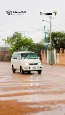 Diinsoor jano 🌴#diinsoor #wllsiidka #foryou #somalitiktok 