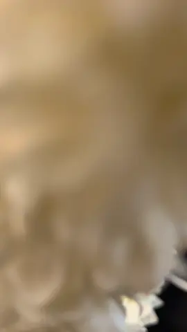 ‏مساء ‏الفل 