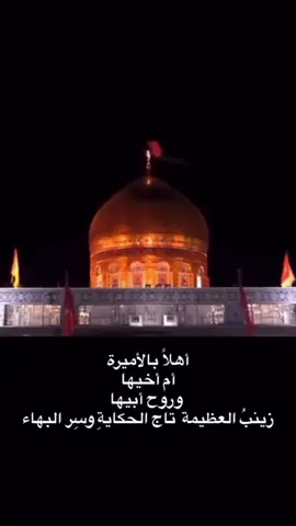 #ولاده_السيده_زينب #سوريا #الشام #كربلاء 