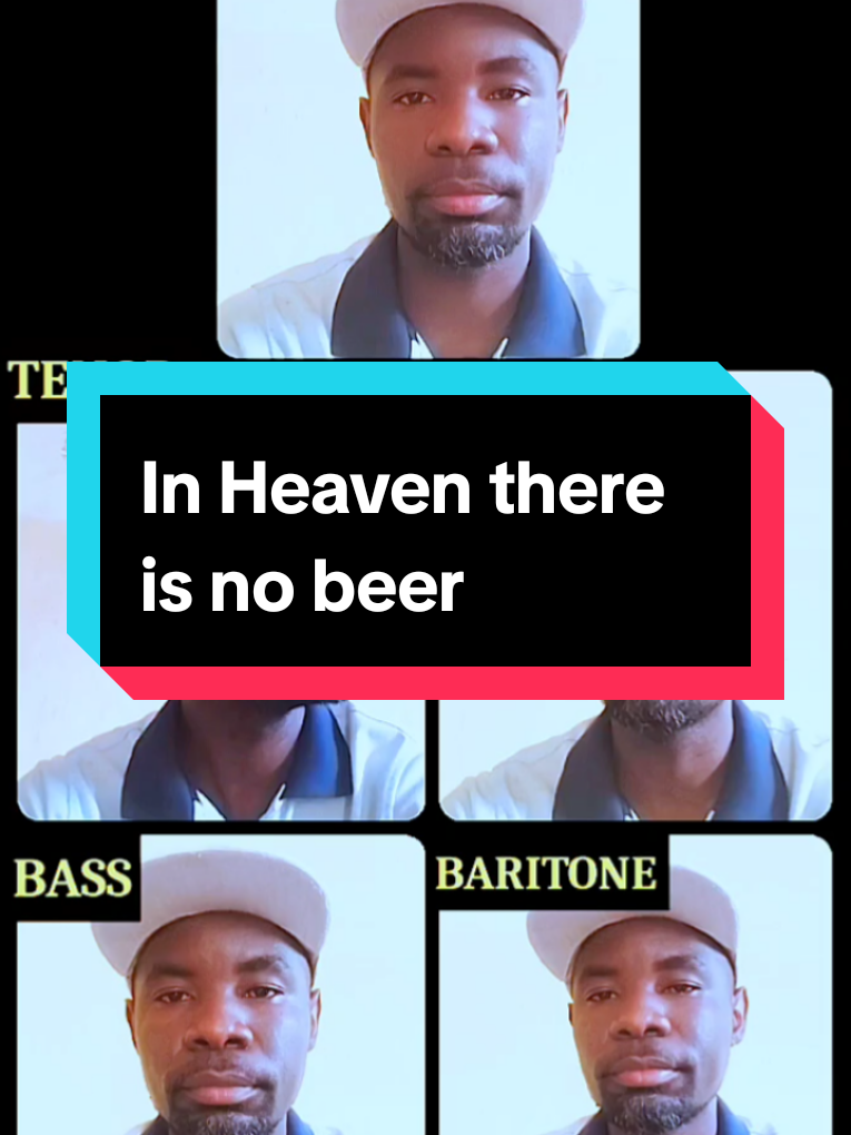 In Heaven there is no beer 