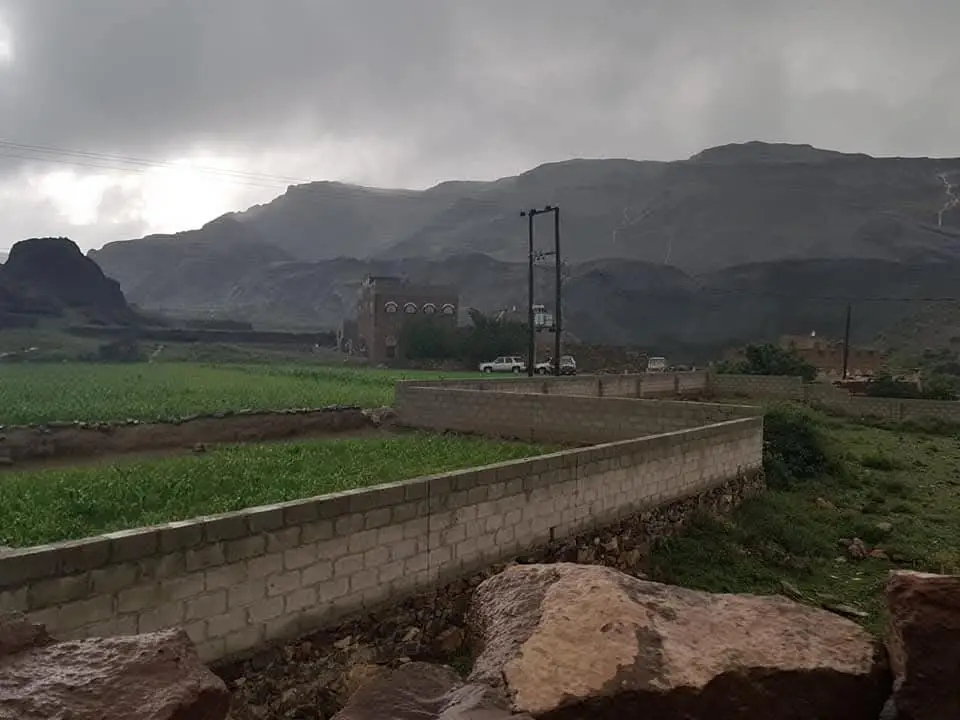 يالدنيا الدنيا تفوش 🌹🌹👋