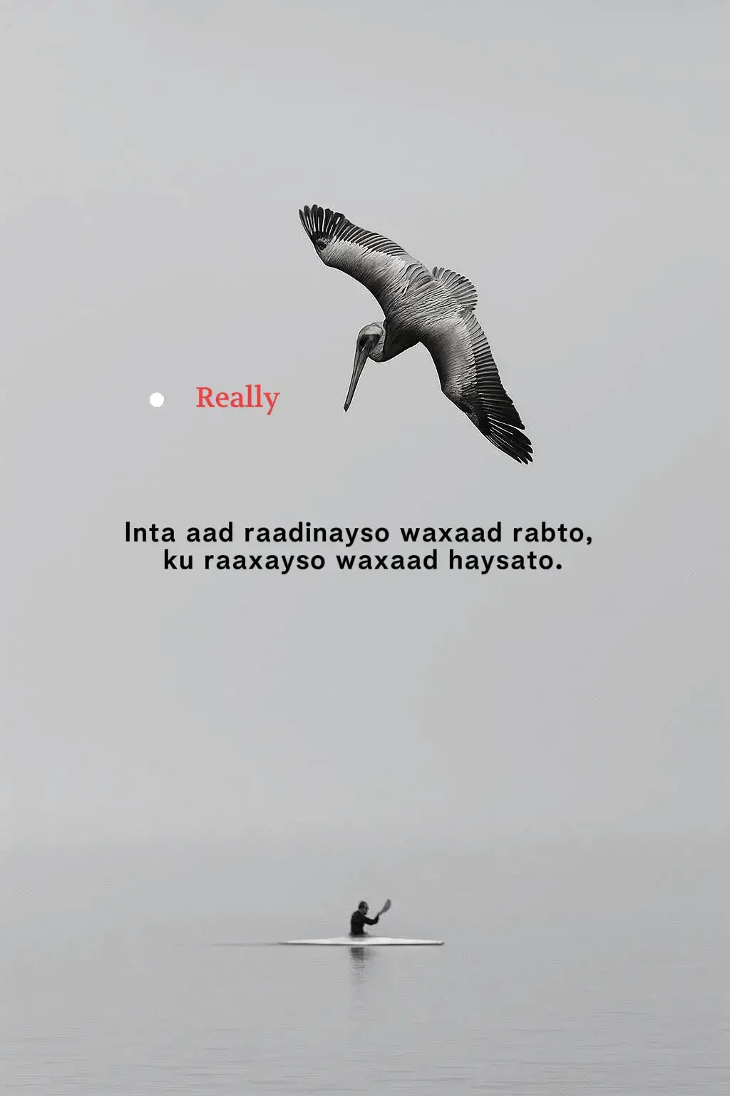 While you're looking for what you want, enjoy what you have. 