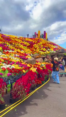 #makwanpur_muser #moktanbrand #foryoupage 