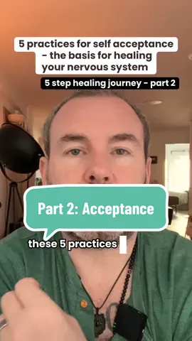 Choose one of these practices and deepen it until it fells kind of automatic. No need to be perfect. Then either choose the next acceptance practice or move to capacity building. You will feel (in your body) when you are ready.  #HealingJourney #MentalHealth #nervoussystem #traumaresponse #vagusnerve 