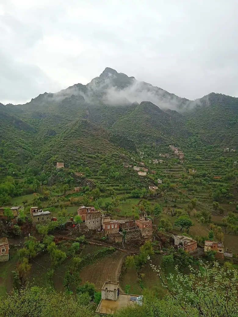 #creatorsearchinsights 