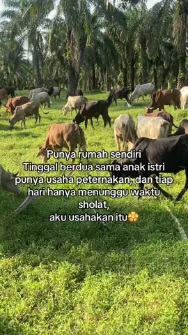 Amin yg paling dalam🤲😇 #angonsapi #peternakmuda #masukberandafyp #fypシ゚ #fyppppppppppppppppppppppp  @Yb_439 