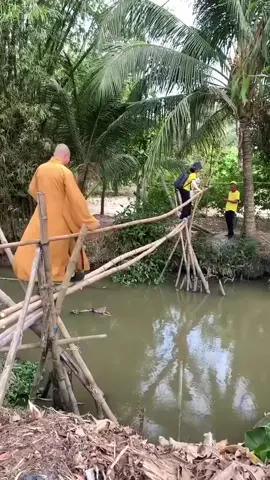 T đã cười Tội lỗi, tội lỗi... #xuhuong #haihuoc #funny 