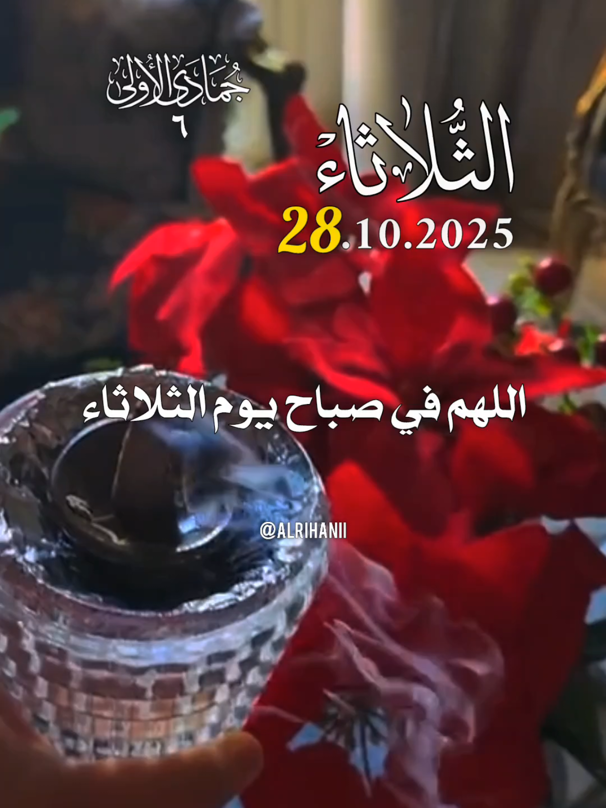 دعاء يوم الثلاثاء 28/10/2025🤲🤲🌹 اللهم في صباح يوم الثلاثاء يارب 🤲🤲🌹  #دعاء_يوم_الثلاثاء #alrihanii #اللهم_لك_الحمد_ولك_الشكر #اللهم_صلي_على_نبينا_محمد #اللهم_امين_يارب_العالمين 