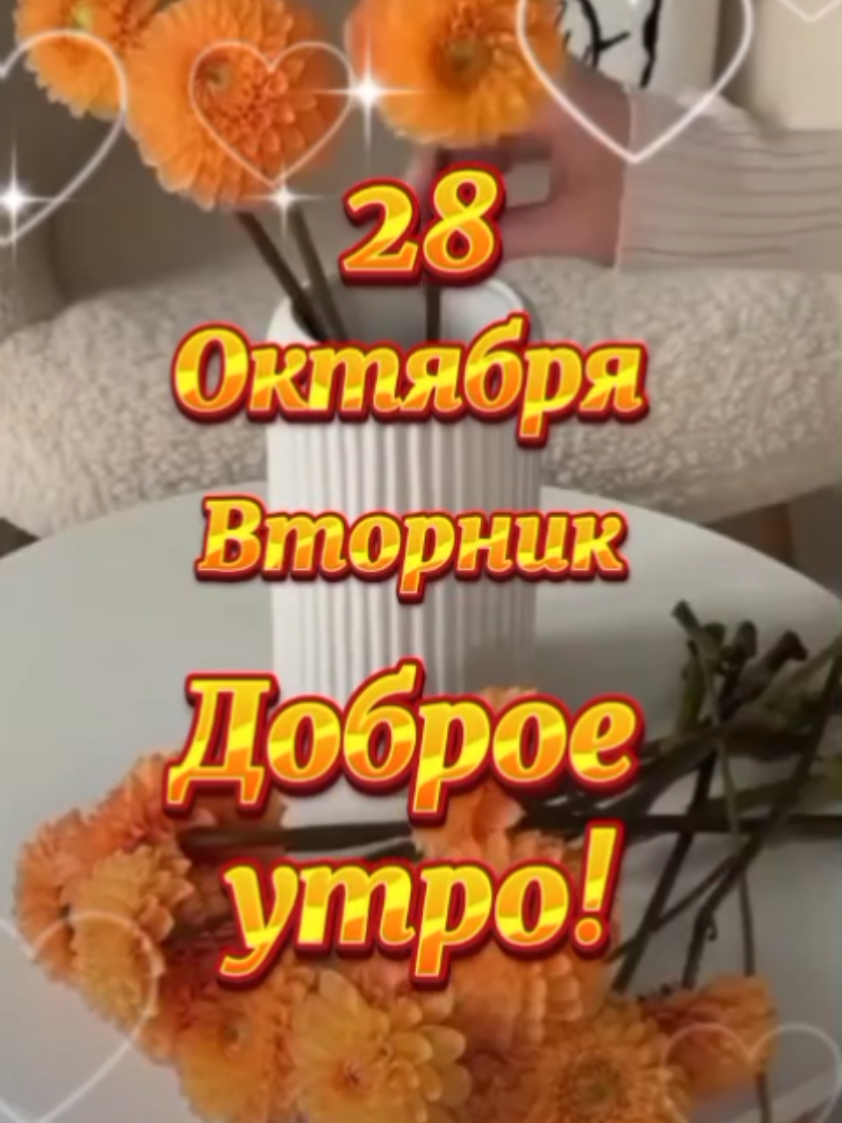 28 октября  вторник  доброе утро !