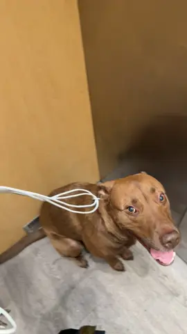 “Get your shit together mom” 