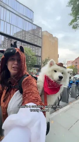 Mane character energy for halloween 🤠 #samoyed #nyc #halloween #dogsoftiktok 