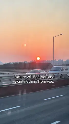 It always does #foryou #fyp #sunset #healing #TrueLove 