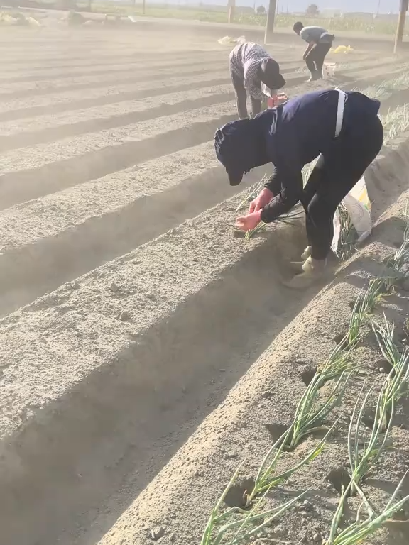 Chăm chỉ thì chuyện gì cũng thành công