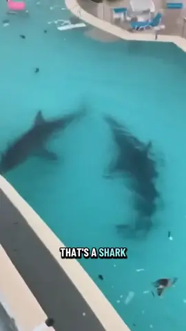 Hurricane Melissa really said 