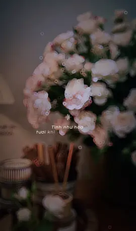 Nhạc hay-hoa đẹp