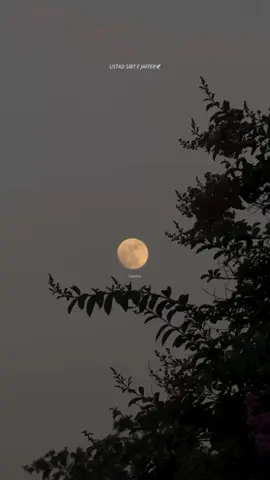 ❤️💫✨#SAMARALI #unfrezzmyaccount #viral #fyp #fypシ 