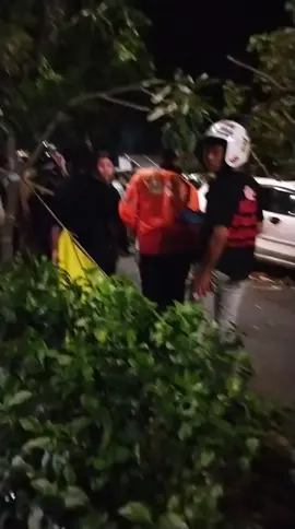 #kejadian depan kuburan kristen panaikang, pohon tumbang#fypシ #makassarinfo 