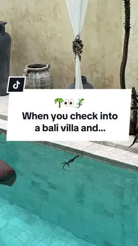 …. excuse me sir, this is a private villa not a public pool 🫠🦎 #bali #baliindonesia #explorebali #balilife #islandlife funny Bali holiday canggu villa tropical island life